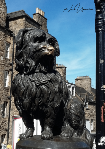 la statua di bronzo di Bobby il cagnolino